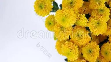 特写，从上面看，花，花束，白色背景上旋转，花成分由黄色组成